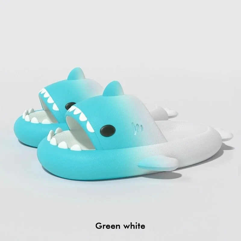 Shark Boots