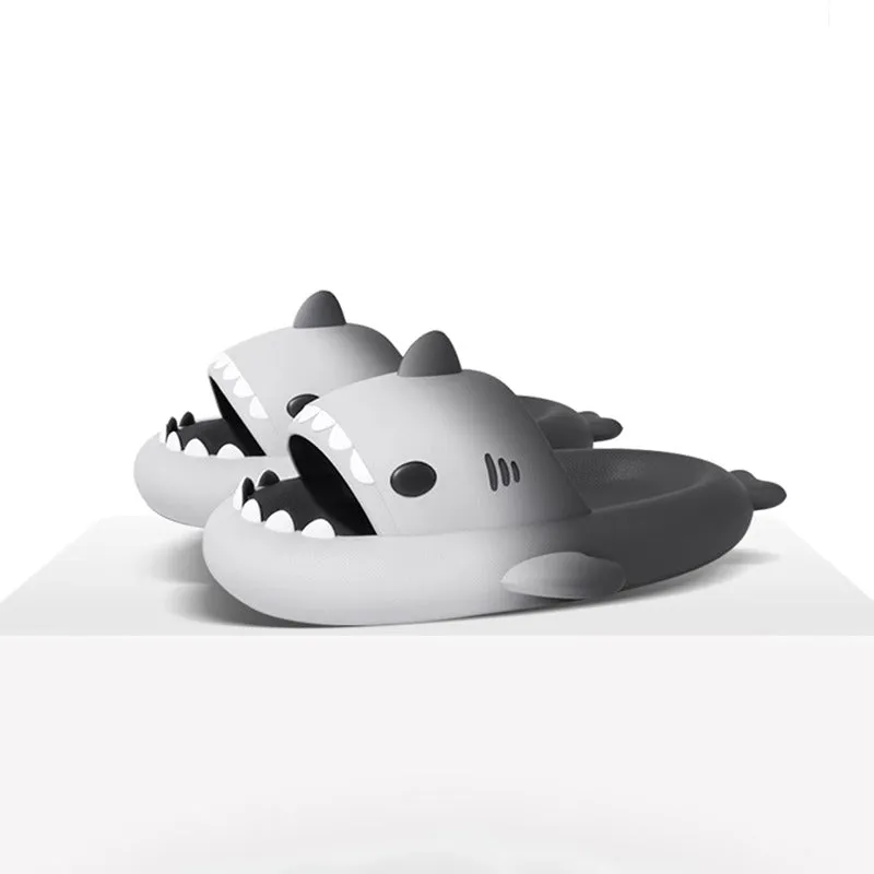 Shark Boots